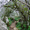El Torcal bei Nebel Im Winter
